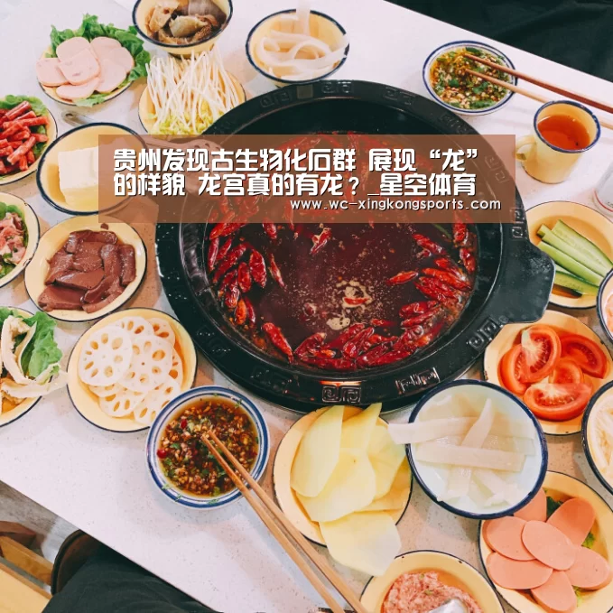 贵州发现古生物化石群 展现“龙”的样貌 龙宫真的有龙?_星空体育(图3) 星空体育下载
