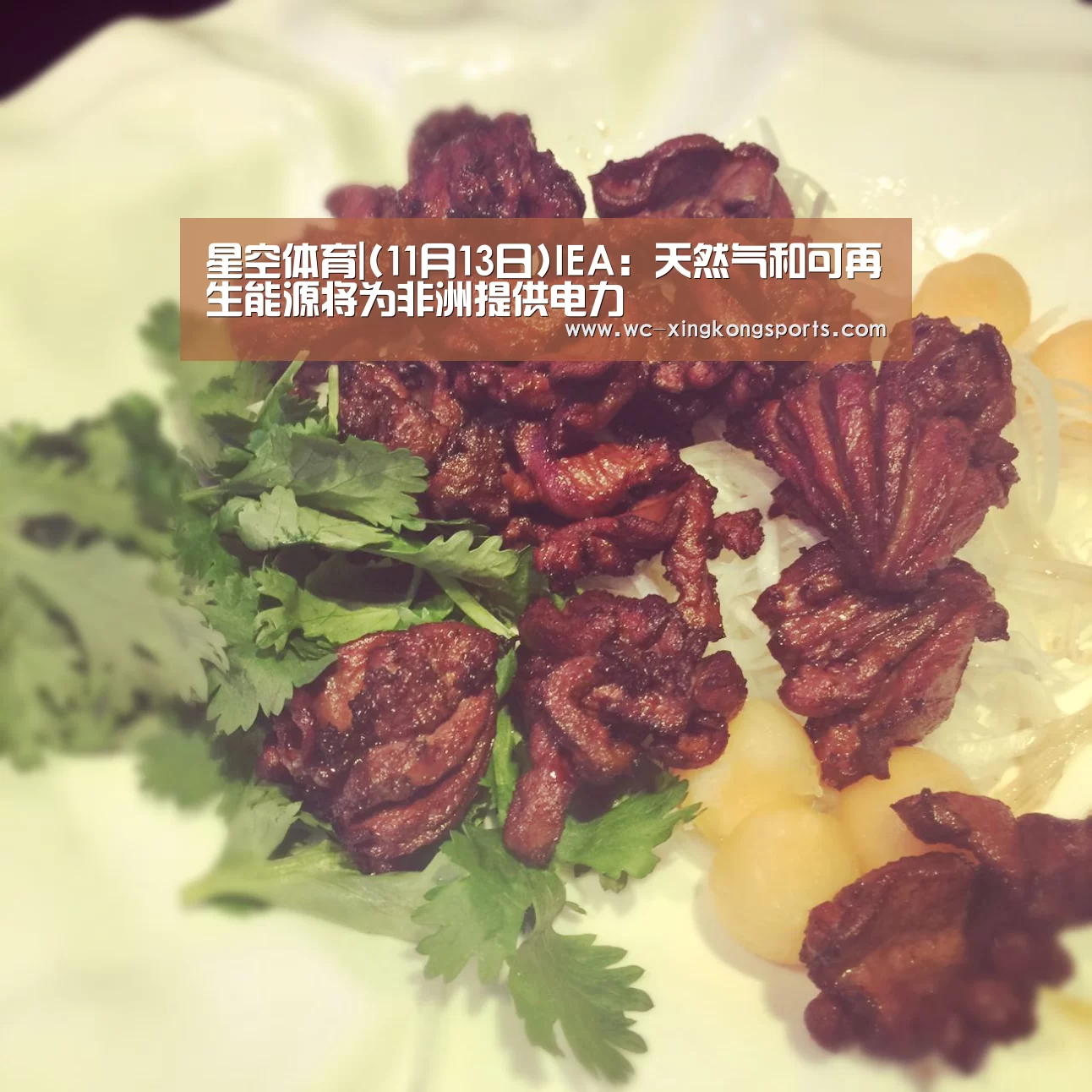 星空体育APP