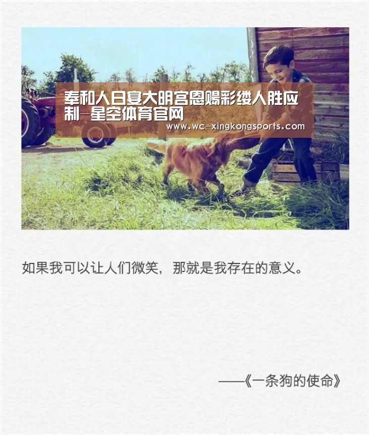 星空体育APP